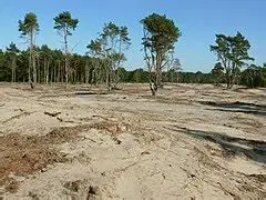 Landschaft Pinneberg